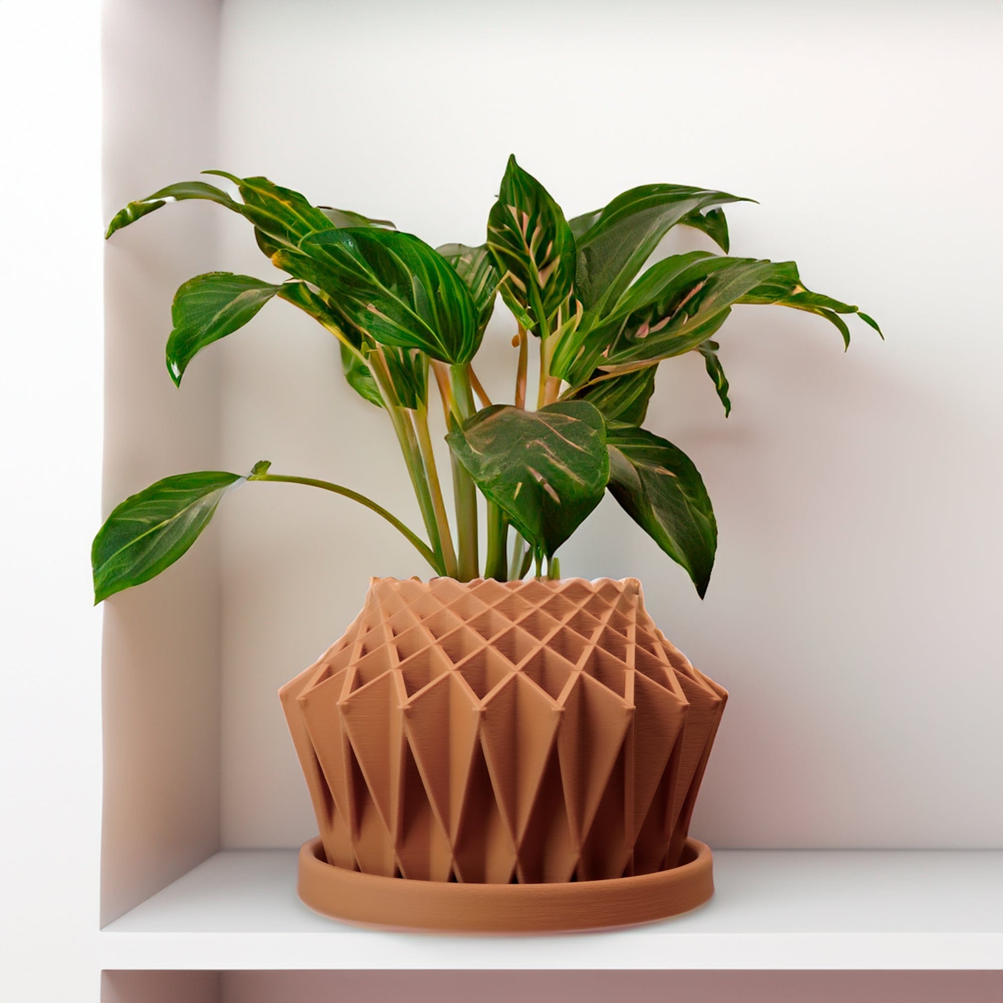 Rosebud HomeGoods Pots & Planters Terracotta / 4 Inch - No Tray Galaxy Groove Plant Pot
