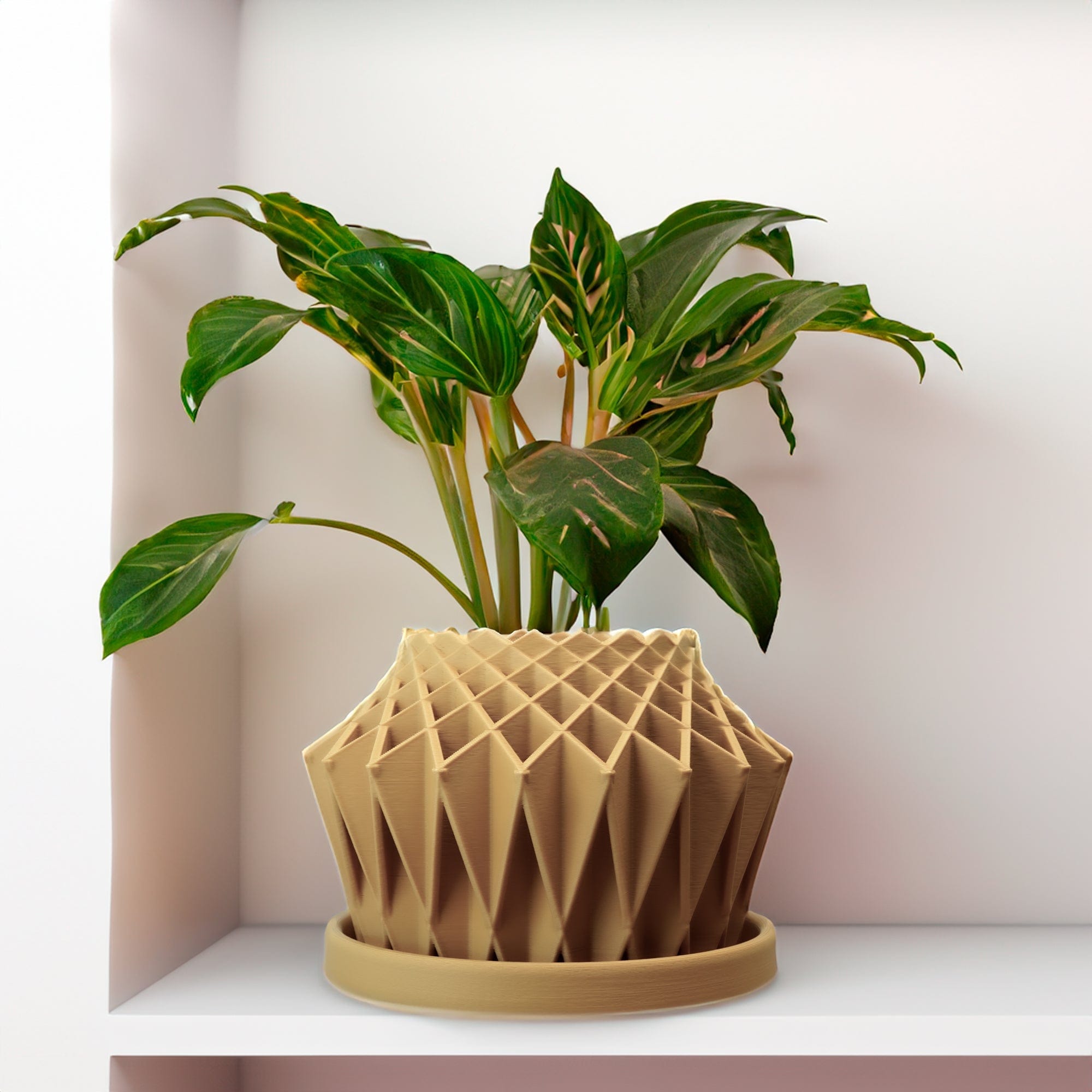 Rosebud HomeGoods Pots & Planters Beige / 4 Inch - No Tray Galaxy Groove Plant Pot