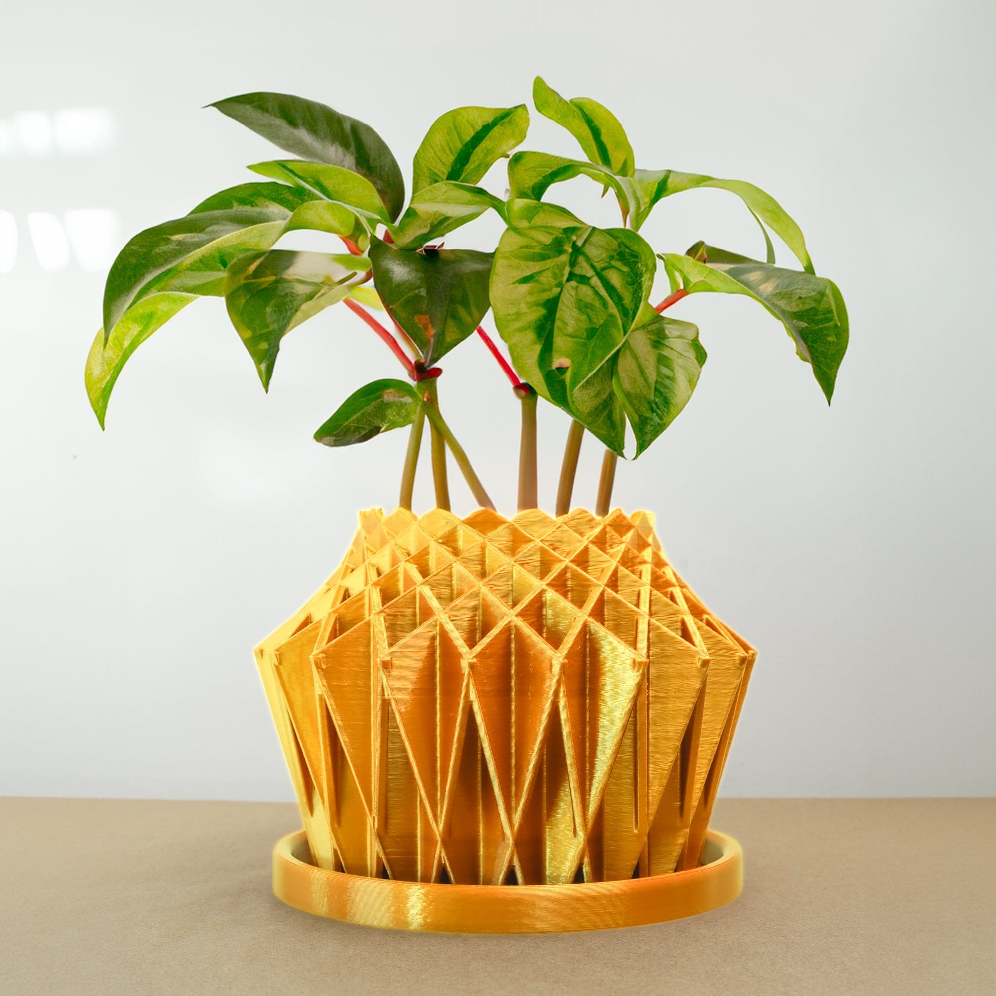 Galaxy Groove Plant Pot - My American Goods