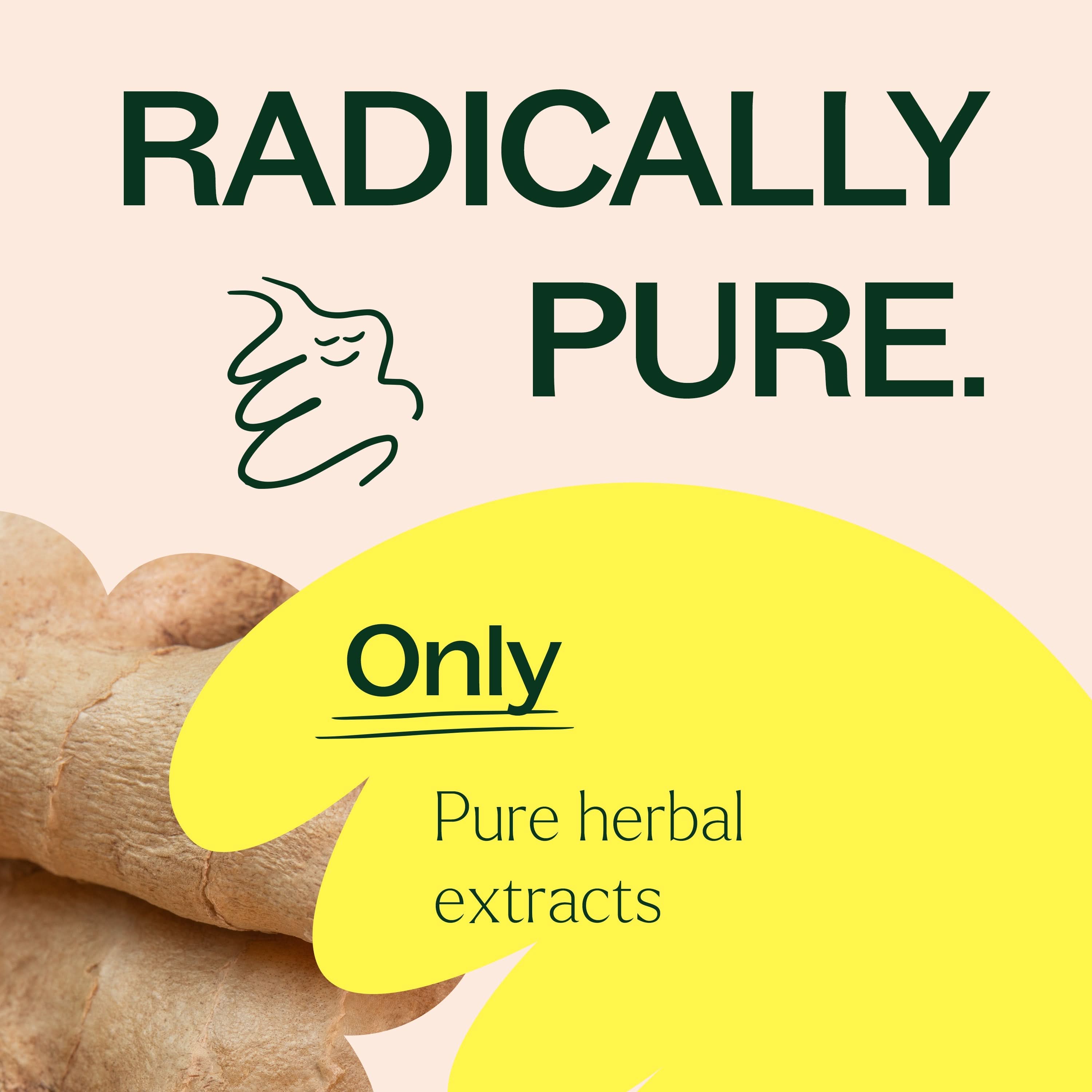 Ginger Root Herbal - My American Goods