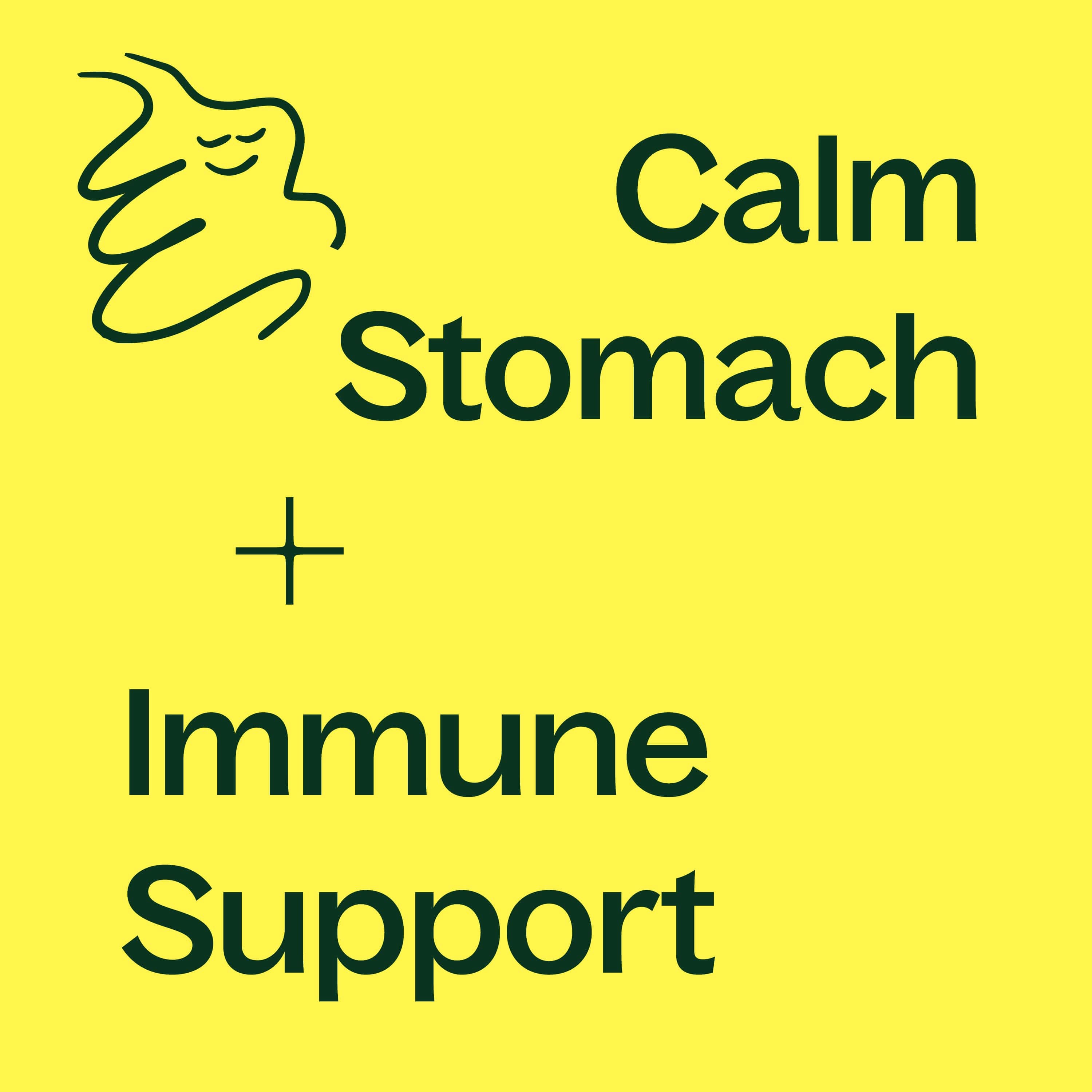 Ginger Root Herbal - My American Goods