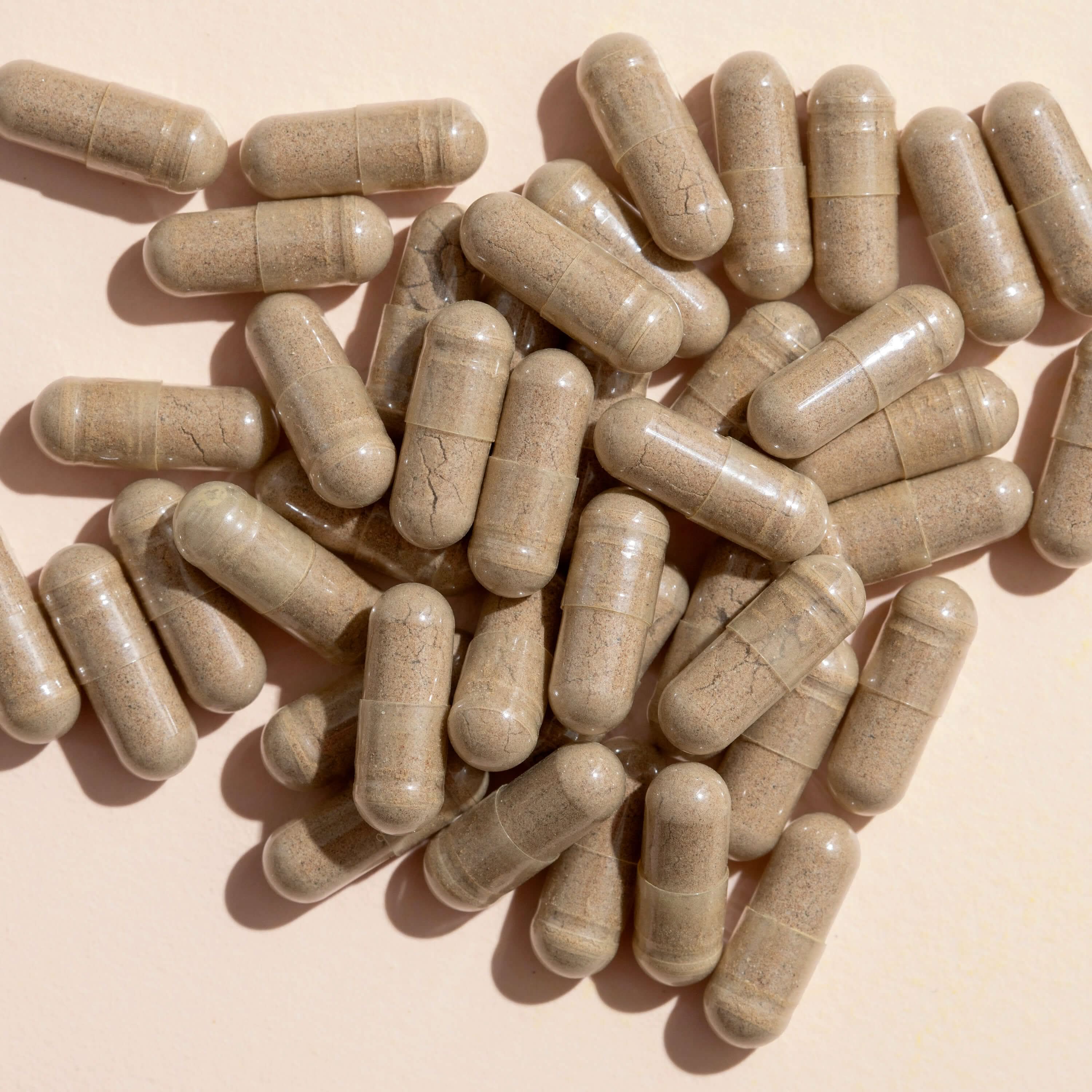 Ginkgo Biloba Herbal Supplement - 120 Capsules - My American Goods