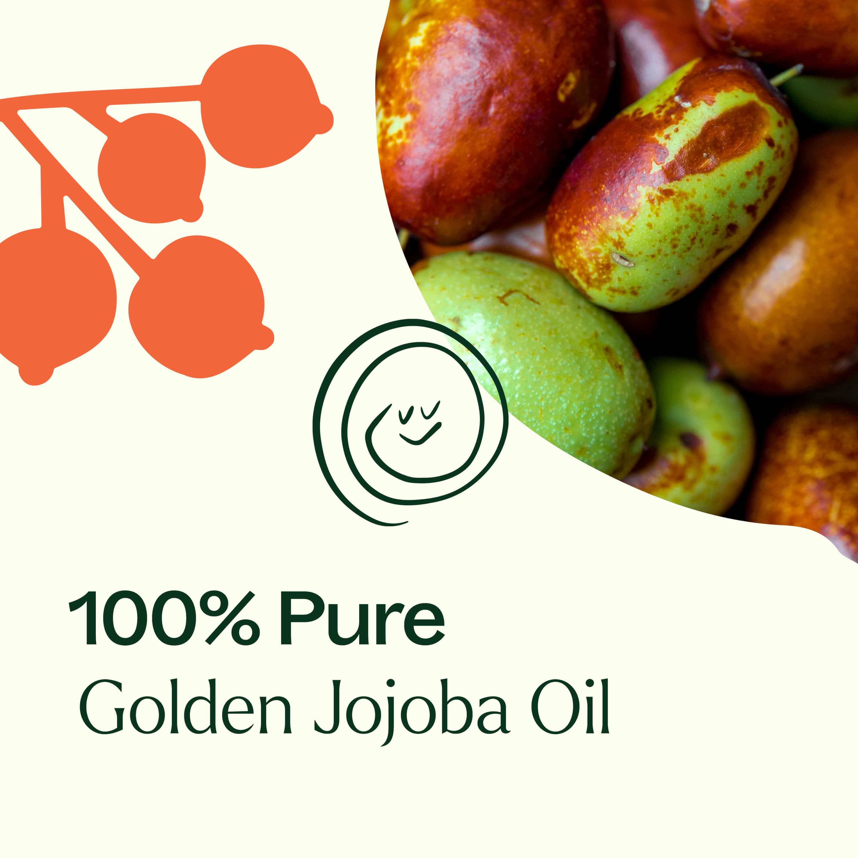 Plant Therapy Body Care Golden Jojoba Carrier Oil