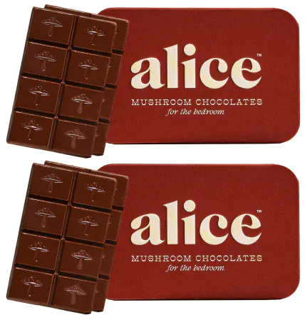 Happy Ending Functional Mushroom Chocolates