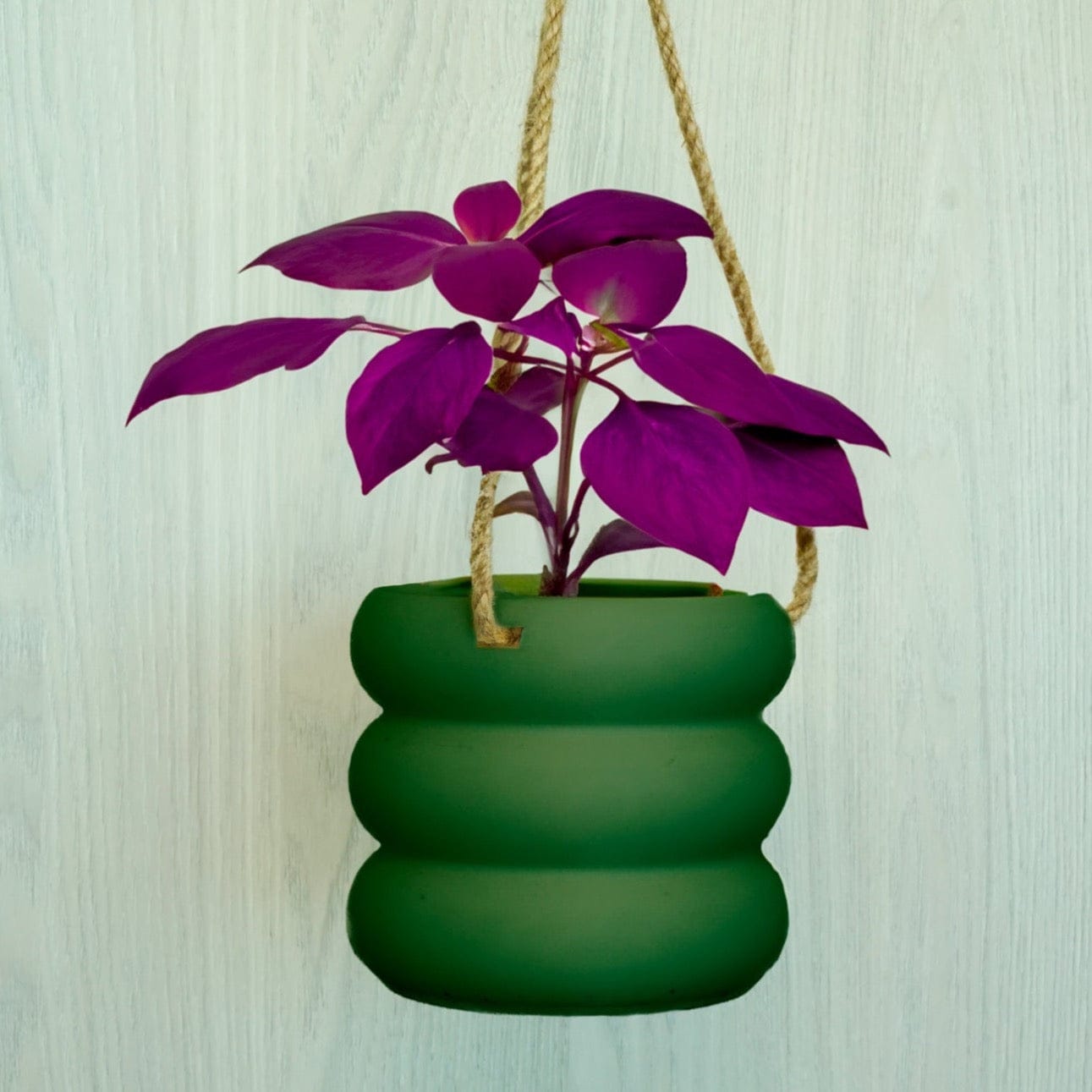 Rosebud HomeGoods Hanging Bubble Plant Pot