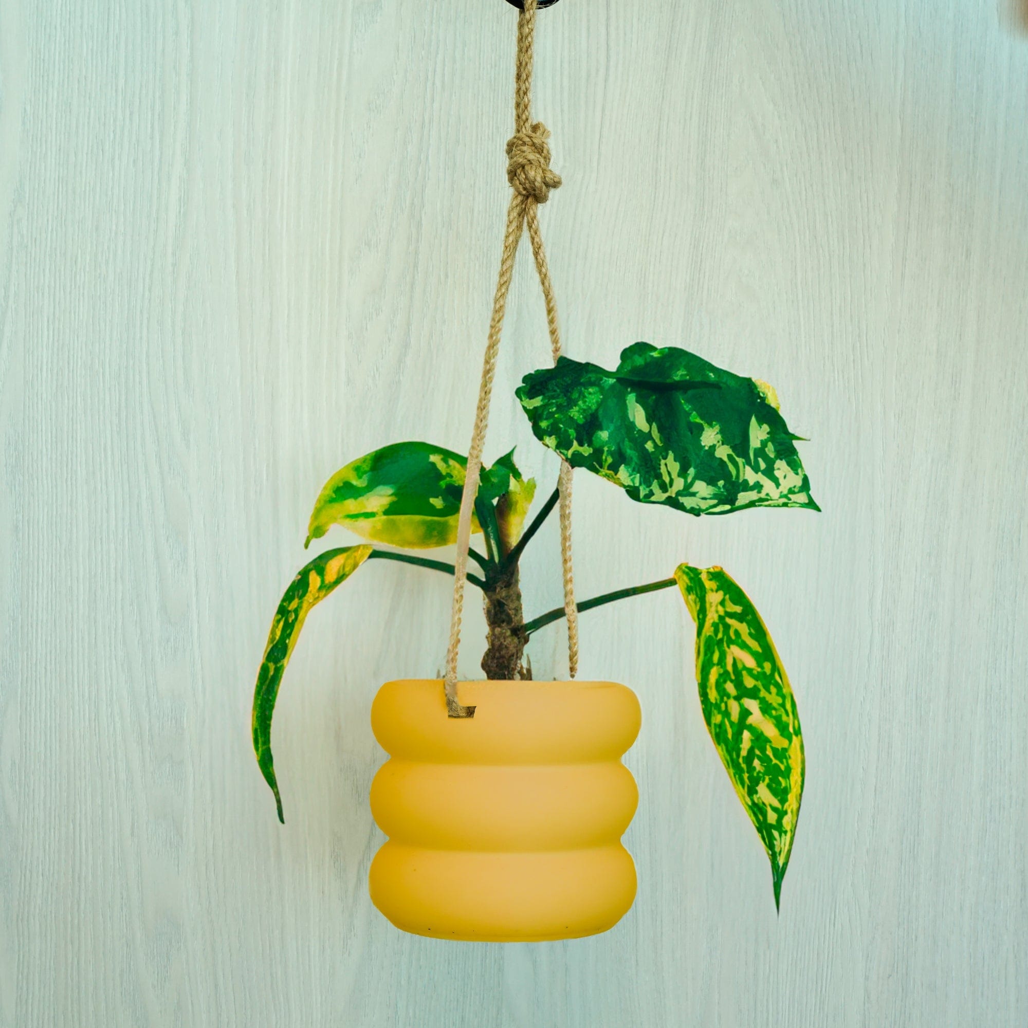 Rosebud HomeGoods Hanging Bubble Plant Pot
