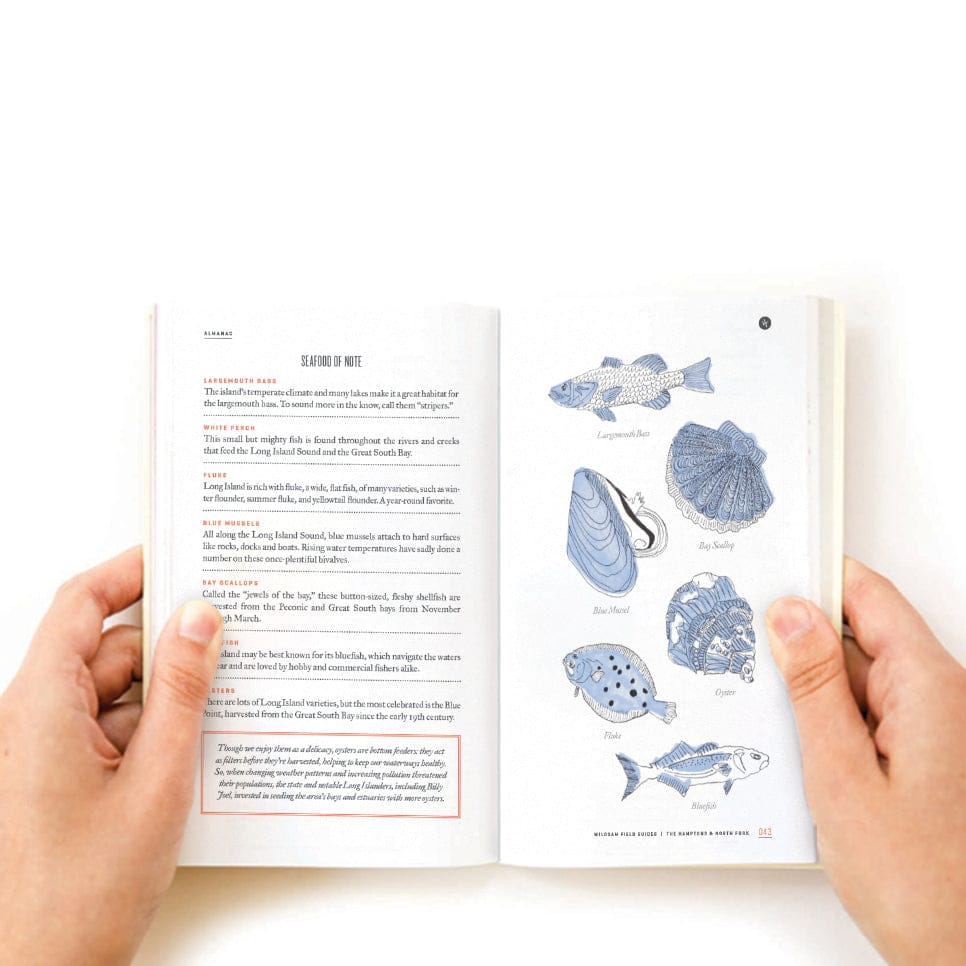 Wildsam Field Guides HAMPTONS & NORTH FORK