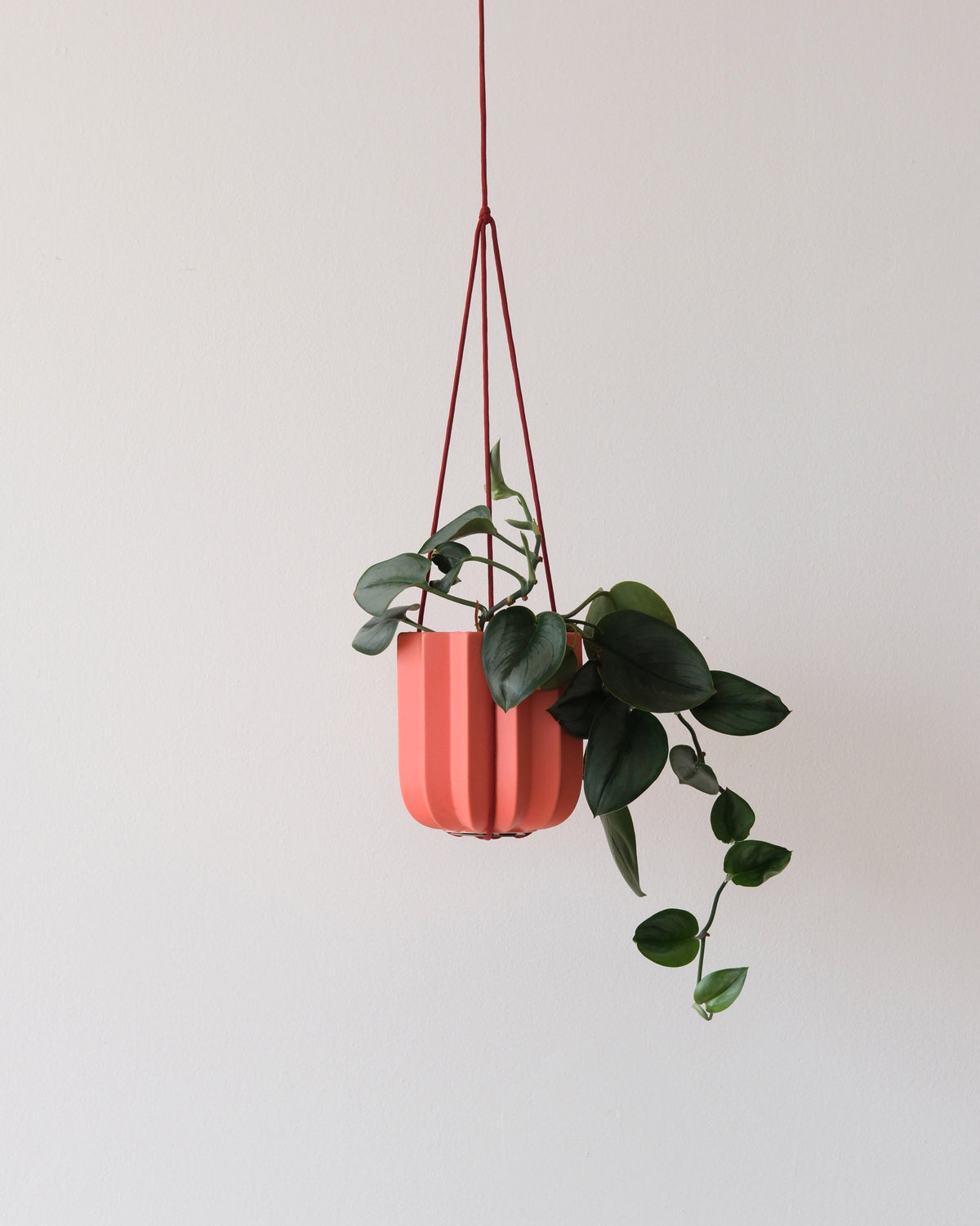 Wrap Hanging Kit