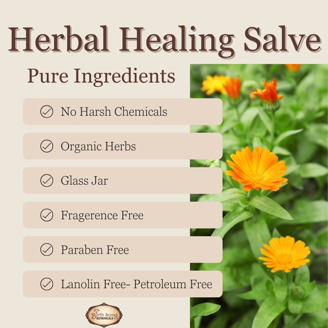 Herbal Salve- All Natural First Aid Ointment Made with Calendula and Plantain, Good For All Skin Types, Unscented - My American Goods