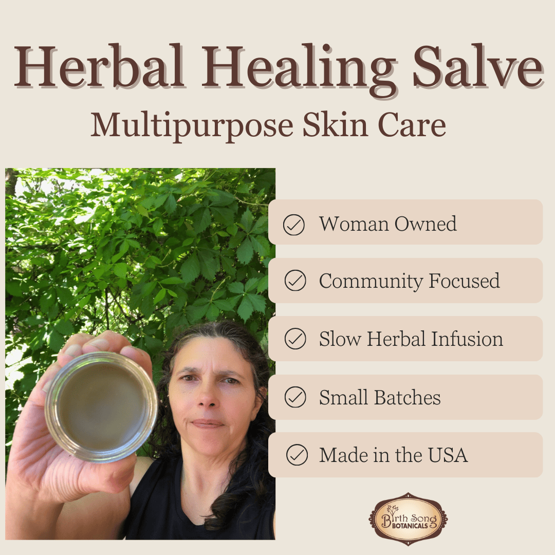 Birth Song Botanicals Co. Skin Care Default Herbal Salve with Calendula & Plantain – Multi-Purpose Skin Balm (1.5 oz)