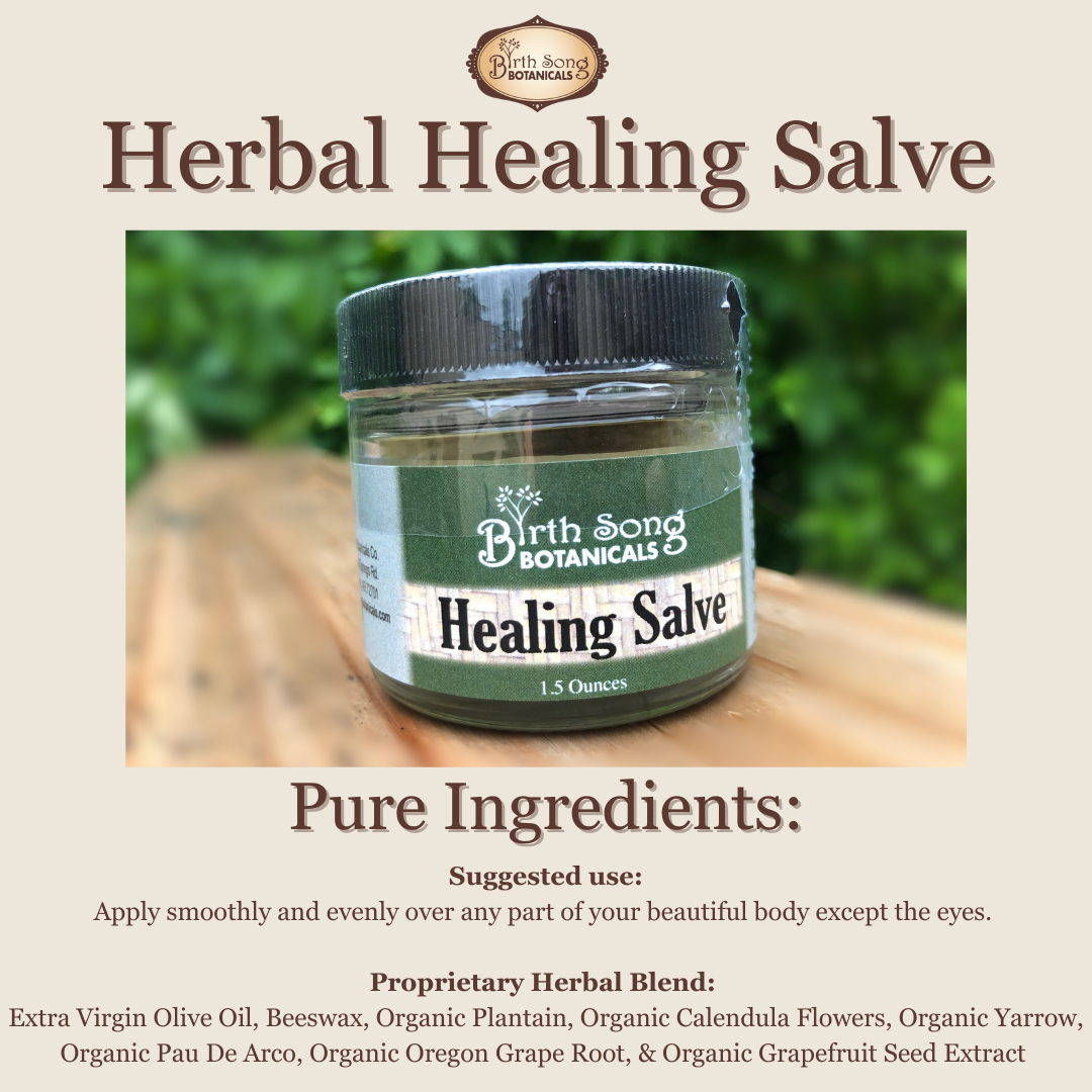Herbal Salve- All Natural First Aid Ointment Made with Calendula and Plantain, Good For All Skin Types, Unscented - My American Goods
