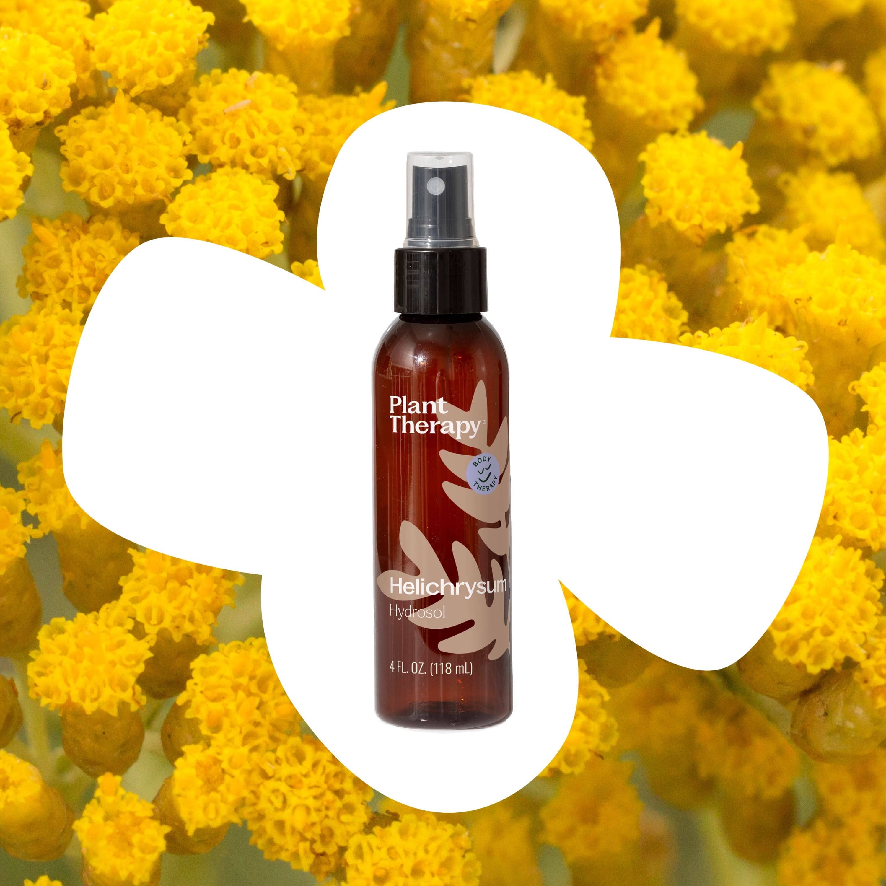 Helichrysum Hydrosol - My American Goods