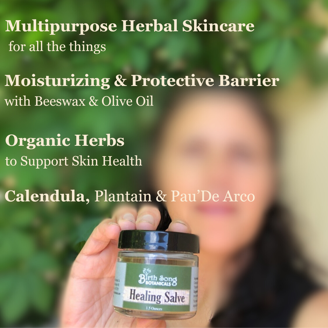 Herbal Salve- All Natural First Aid Ointment Made with Calendula and Plantain, Good For All Skin Types, Unscented - My American Goods