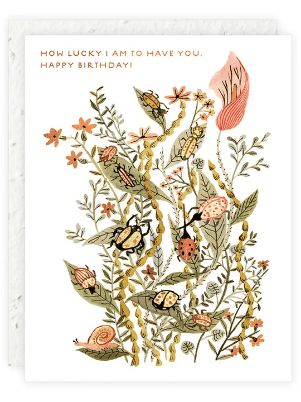 Ash & Rose Greeting & Note Cards How Lucky I Am - Seeded Birthday Card