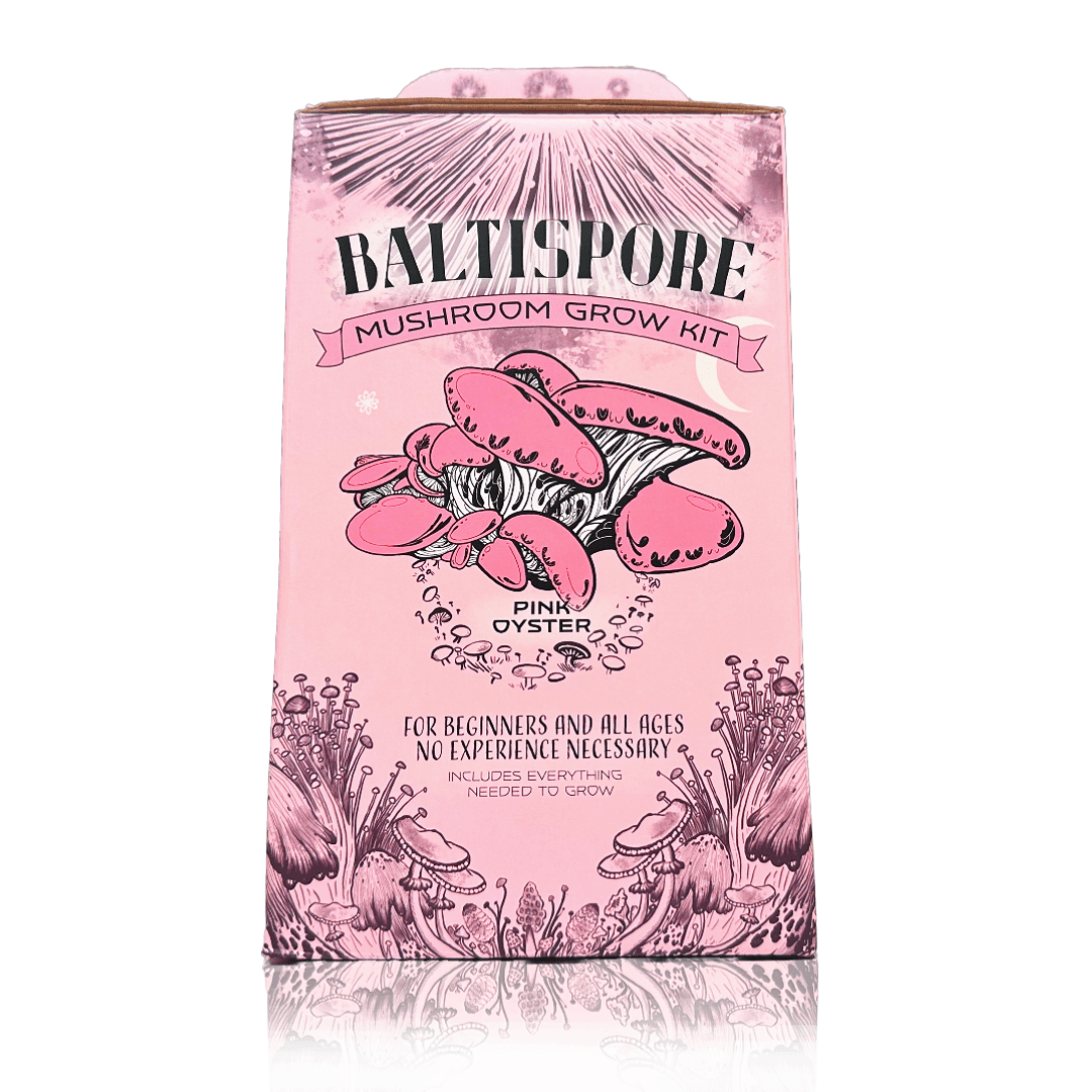 BaltiSpore Pink Oyster “Ready-To-Fruit” Mushroom Grow Kit