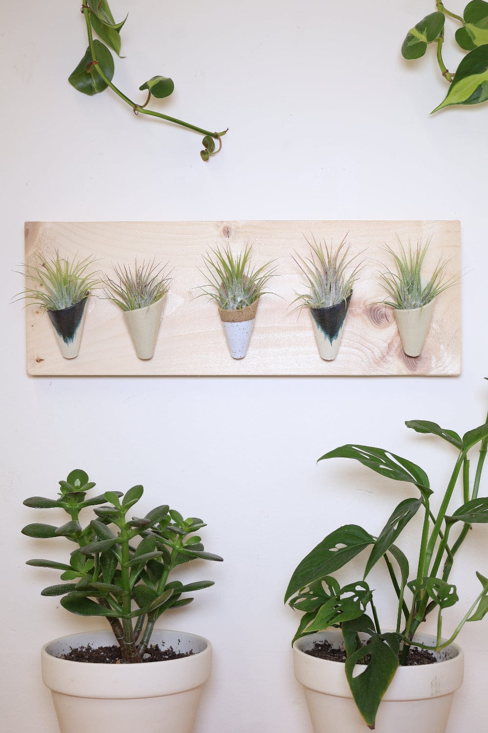Carter + Rose Carter + Rose, Horizontal Wall Planter