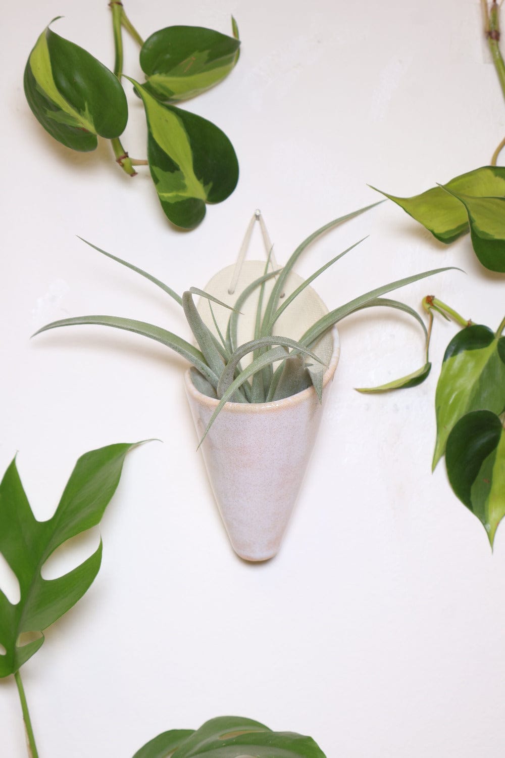 Carter + Rose Medium Ceramic Wall Planter