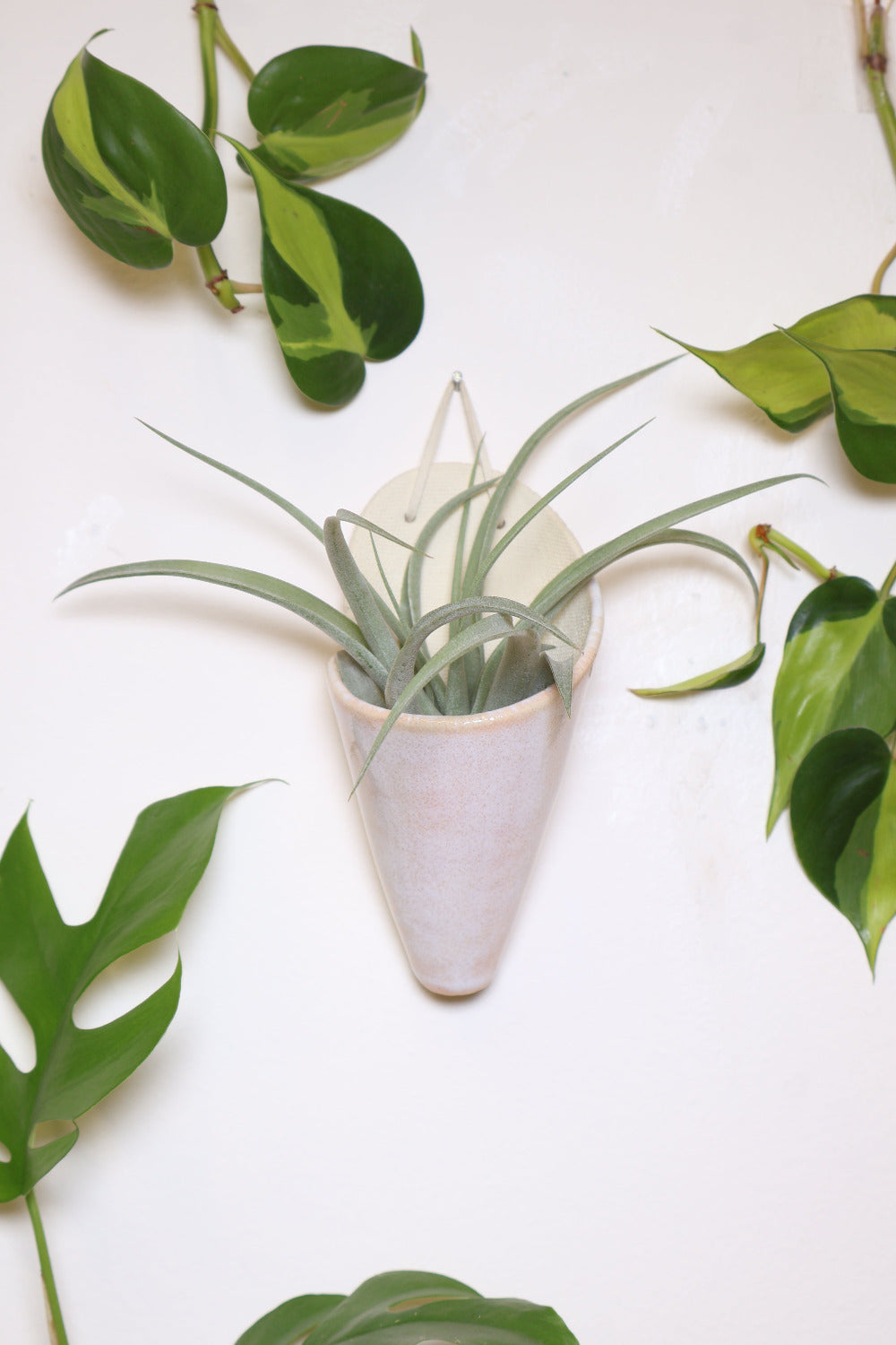 Medium Ceramic Wall Planter