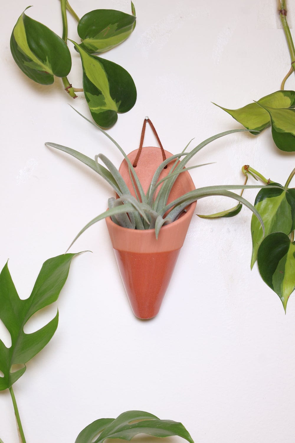 Carter + Rose Medium Ceramic Wall Planter
