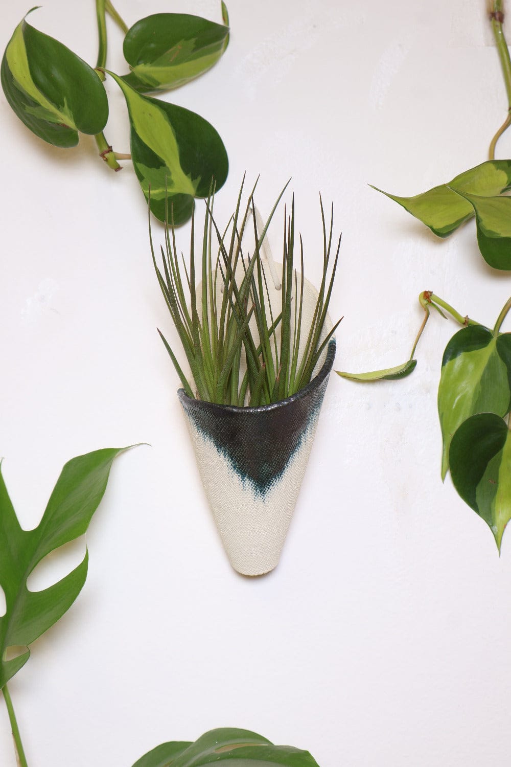 Carter + Rose Medium Ceramic Wall Planter