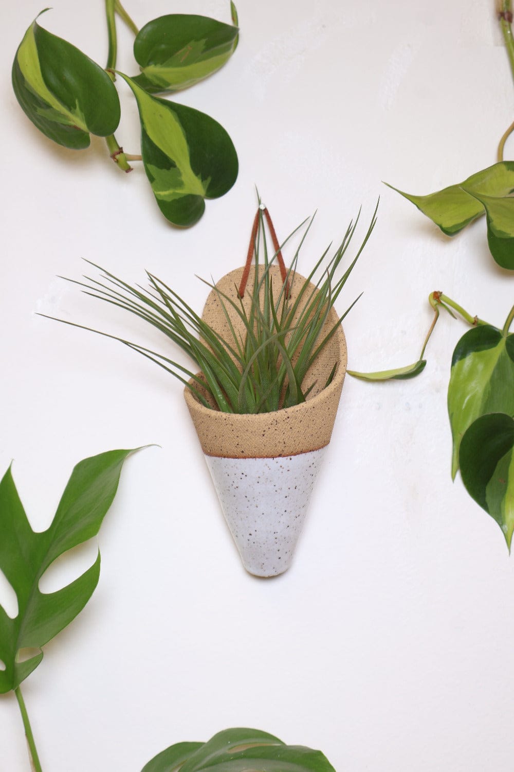 Carter + Rose Medium Ceramic Wall Planter