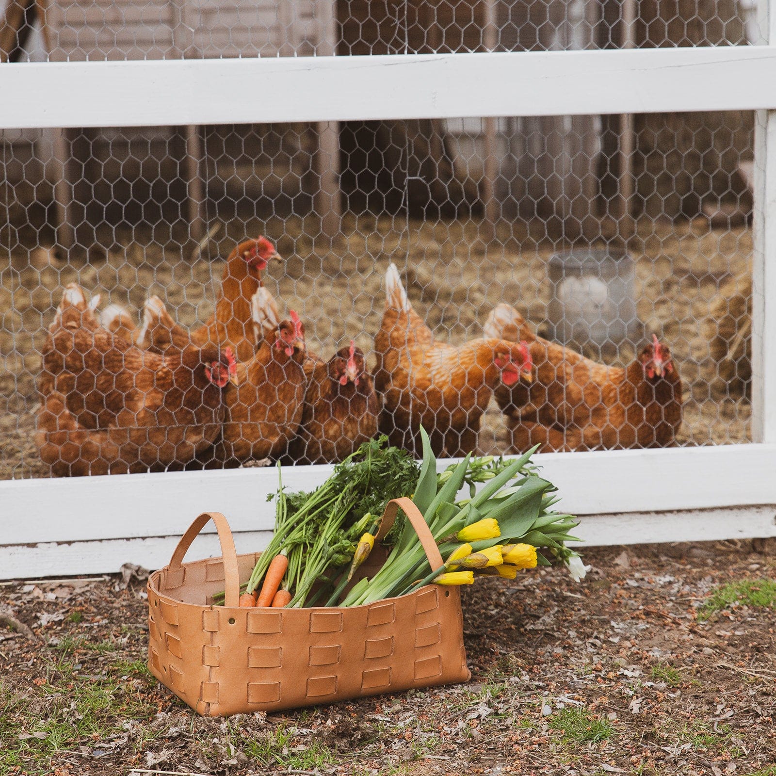 The Local Branch Leather Veg Tanned Large Leather Woven Basket
