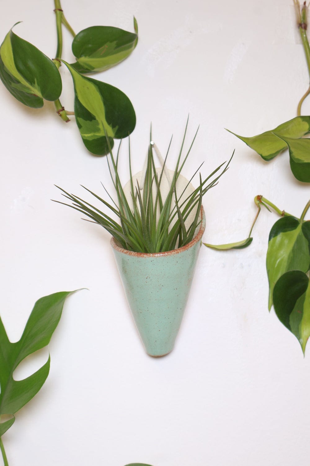 Carter + Rose Medium Ceramic Wall Planter