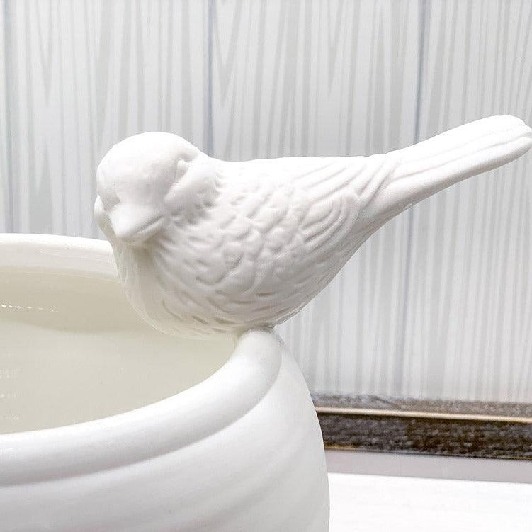 Gia Roma Sitting Pretty Vase