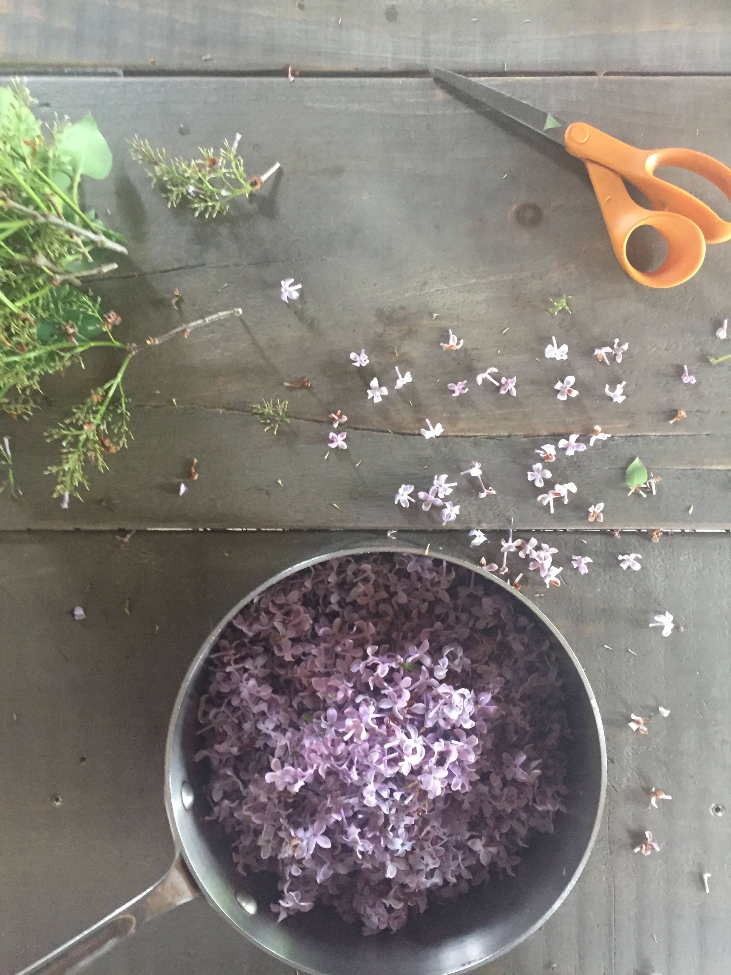 Face Mist & Toner - My American Goods