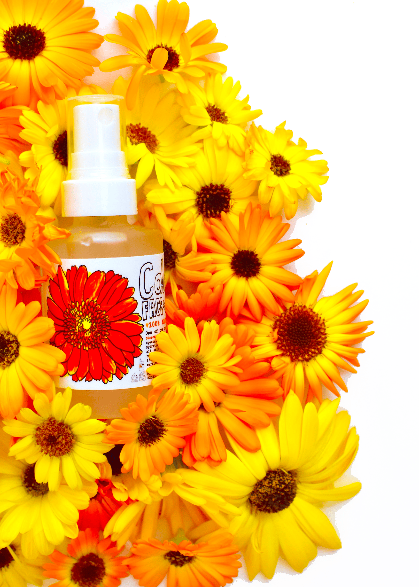plant makeup Calendula Face + Body Mist