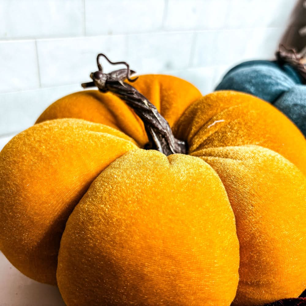 Velvet Pumpkins - My American Goods