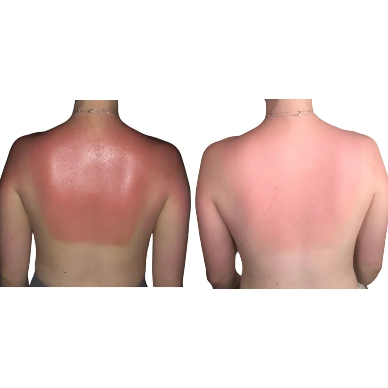 Renew + Repair Oil 2oz