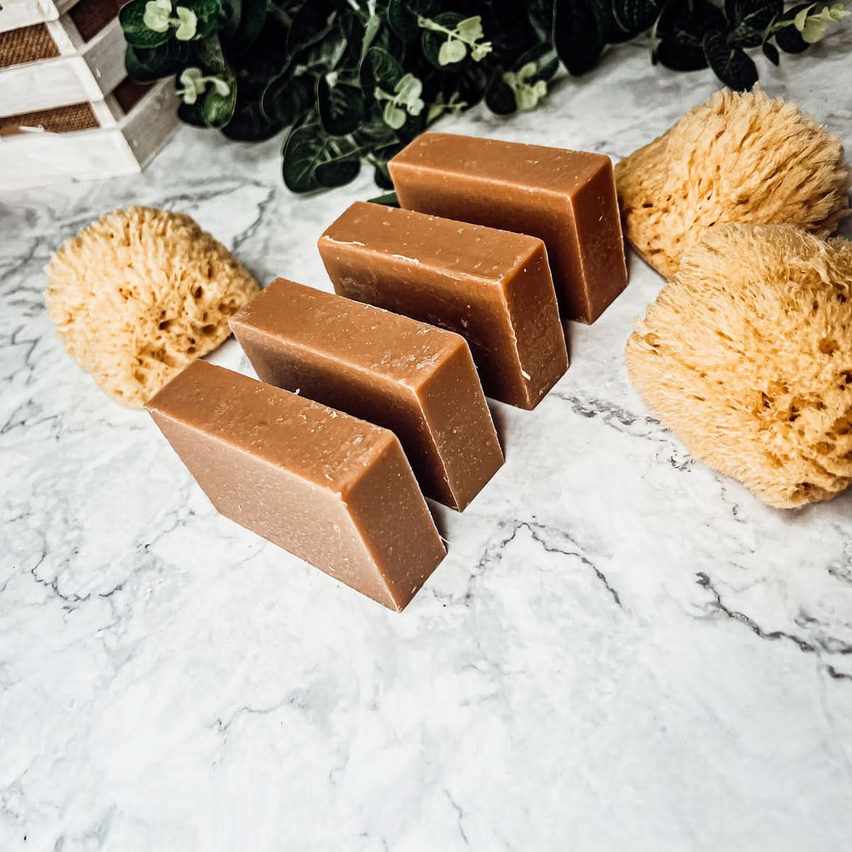 Gia Roma Fall Fall Pumpkin Spice