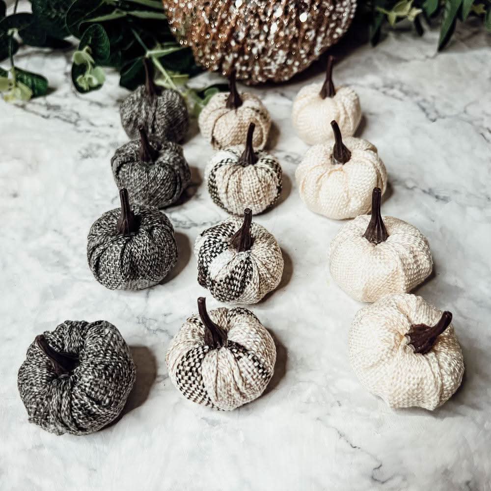 Mini Pumpkins 12pk - My American Goods