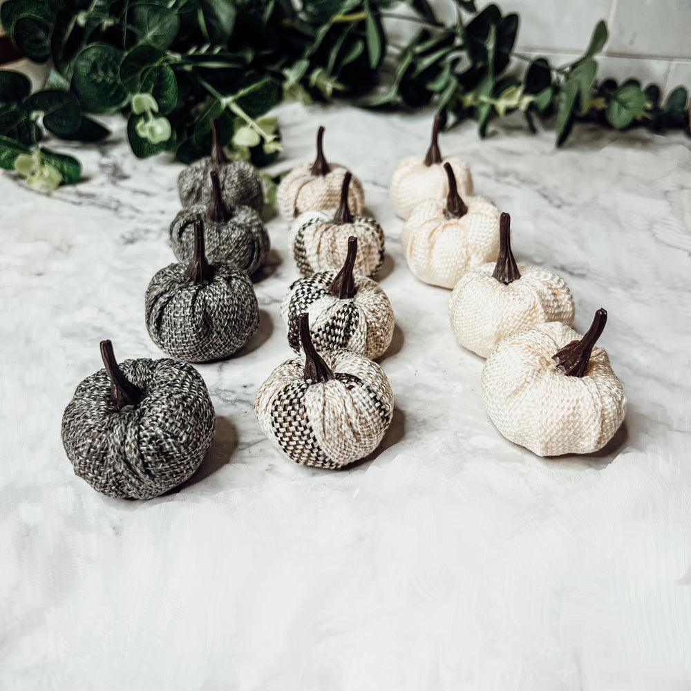 Mini Pumpkins 12pk - My American Goods