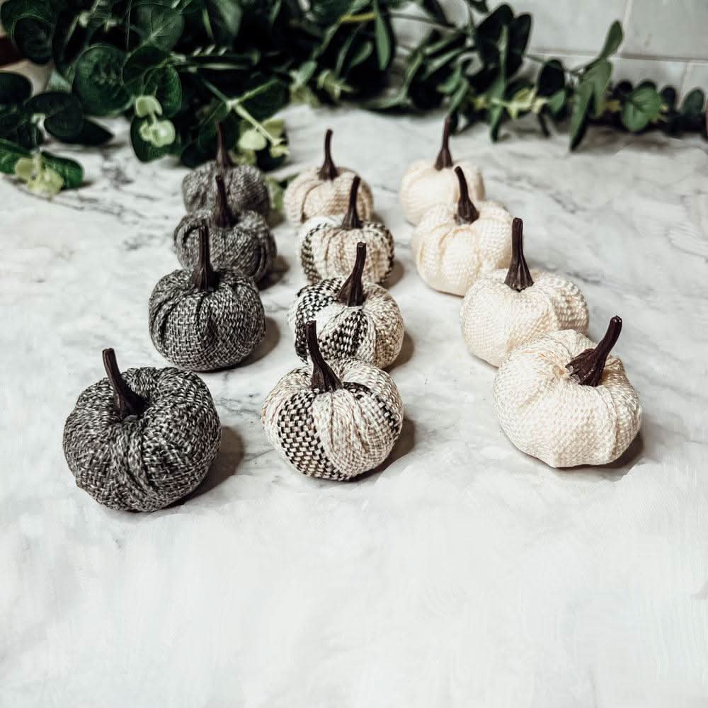 Gia Roma Pumpkins Mini Pumpkins 12pk