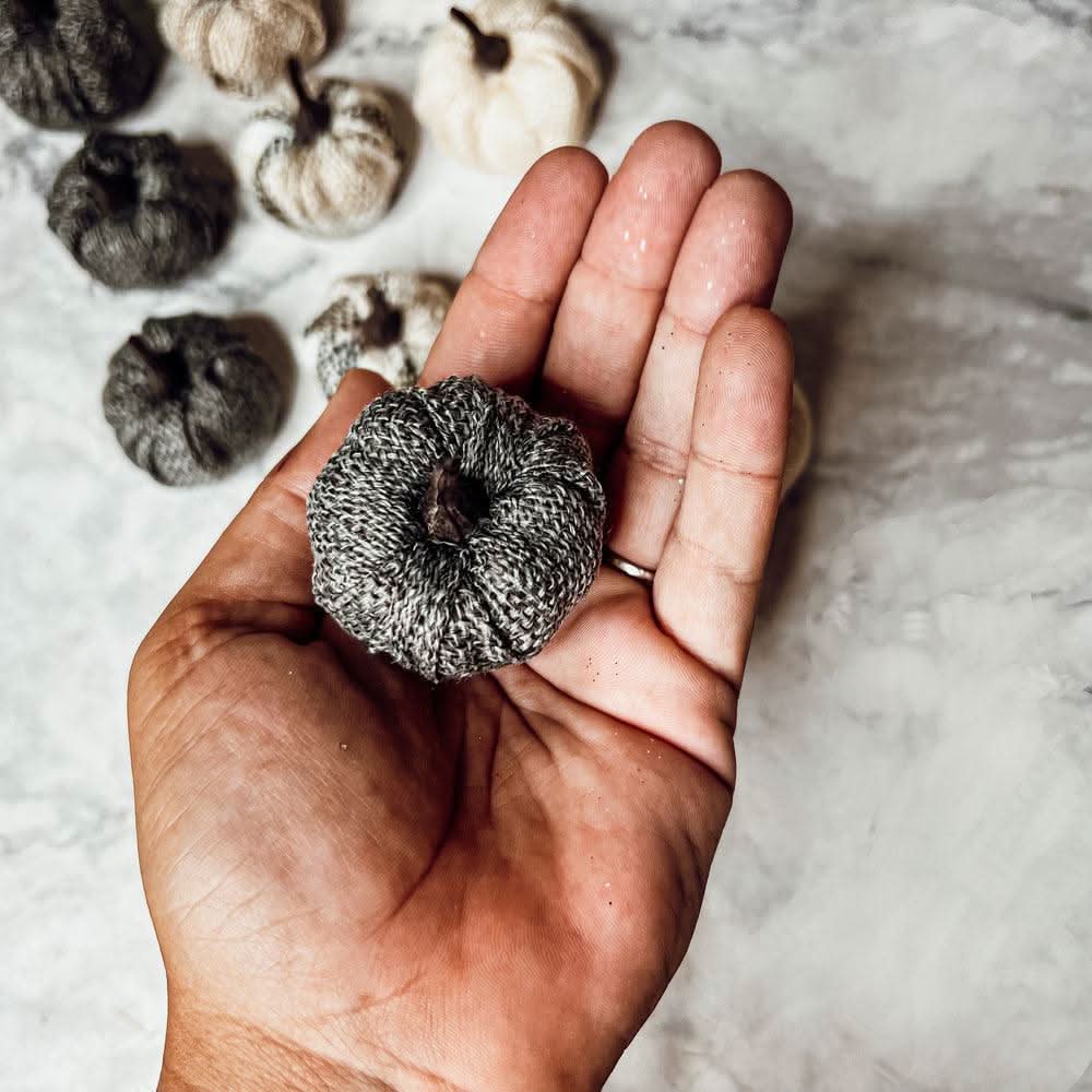 Gia Roma Pumpkins Mini Pumpkins 12pk