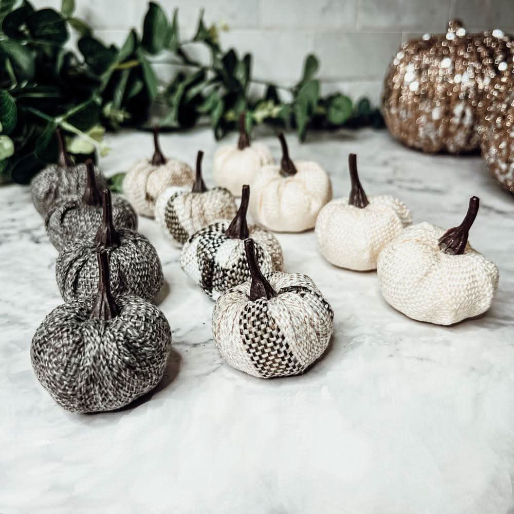 Gia Roma Pumpkins Mini Pumpkins 12pk