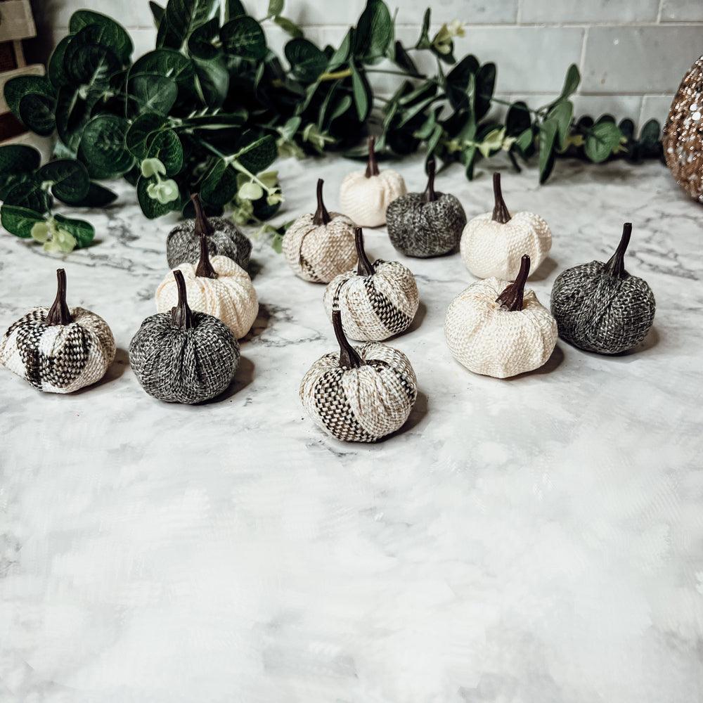 Mini Pumpkins 12pk - My American Goods