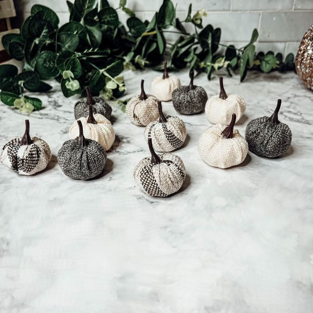 Gia Roma Pumpkins Mini Pumpkins 12pk