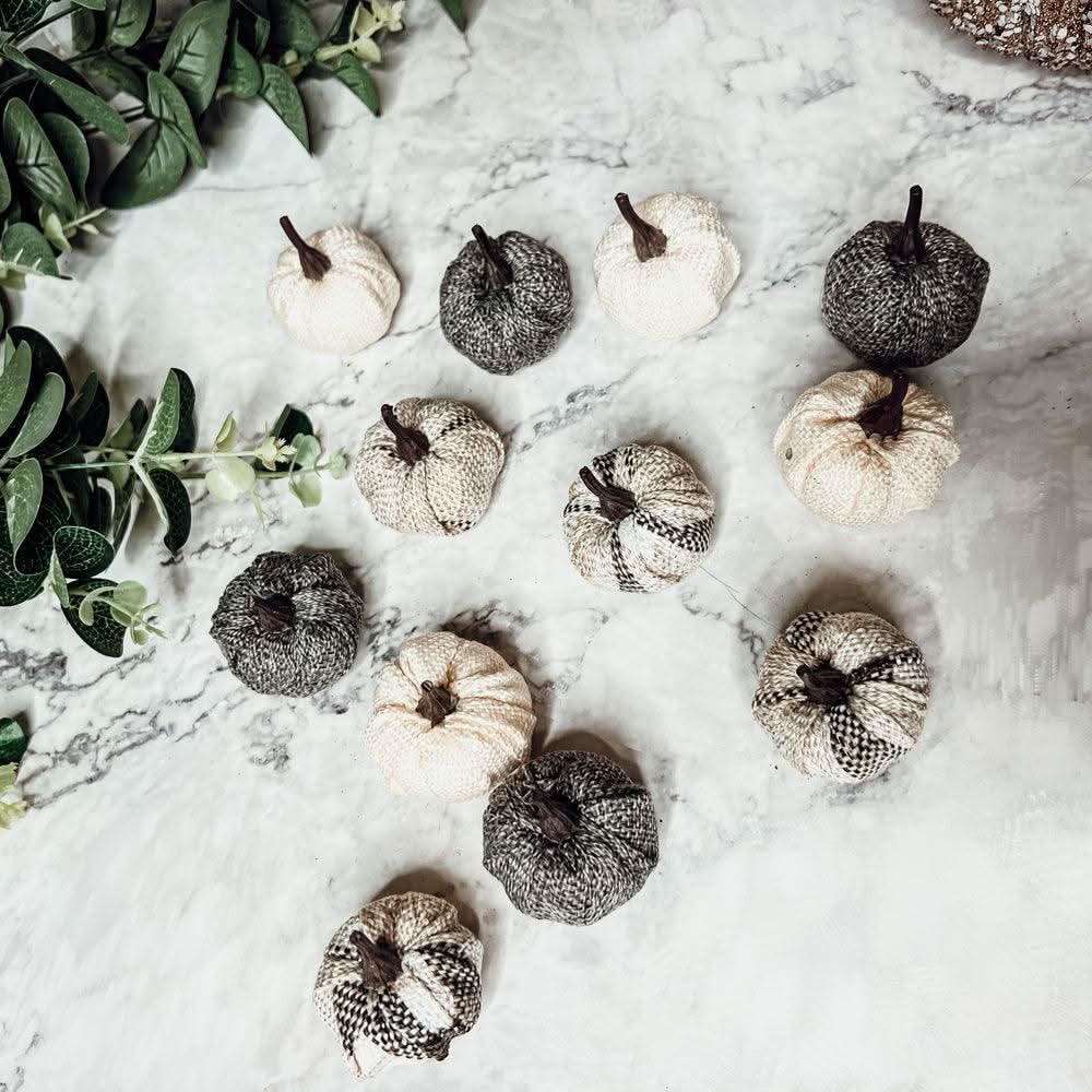 Gia Roma Pumpkins Mini Pumpkins 12pk