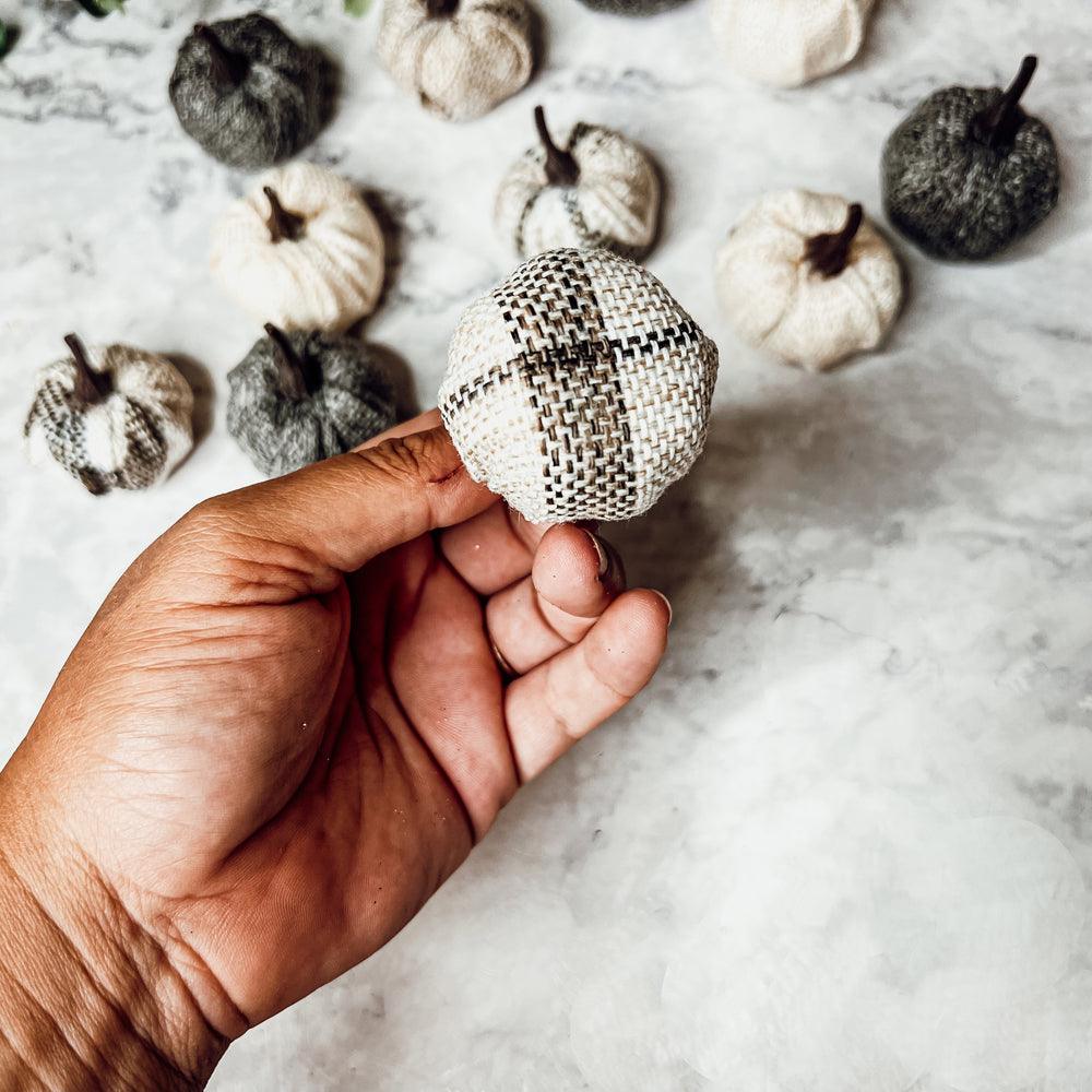 Mini Pumpkins 12pk - My American Goods