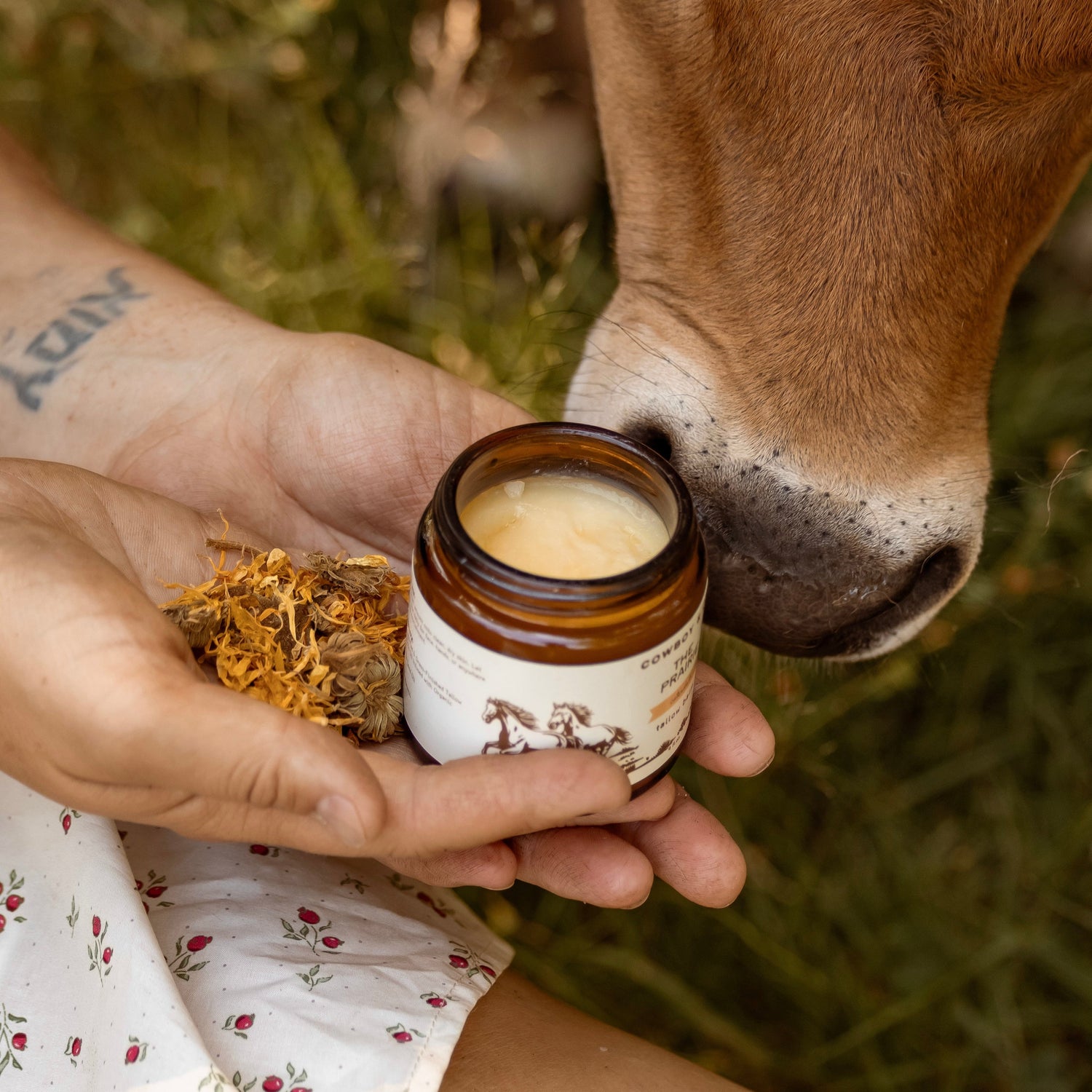 The Prairie - Calendula Infused Organic Tallow Balm Moisturizer - My American Goods