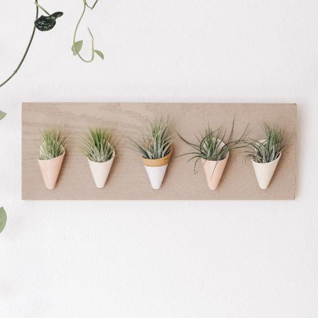 Carter + Rose, Horizontal Wall Planter - My American Goods