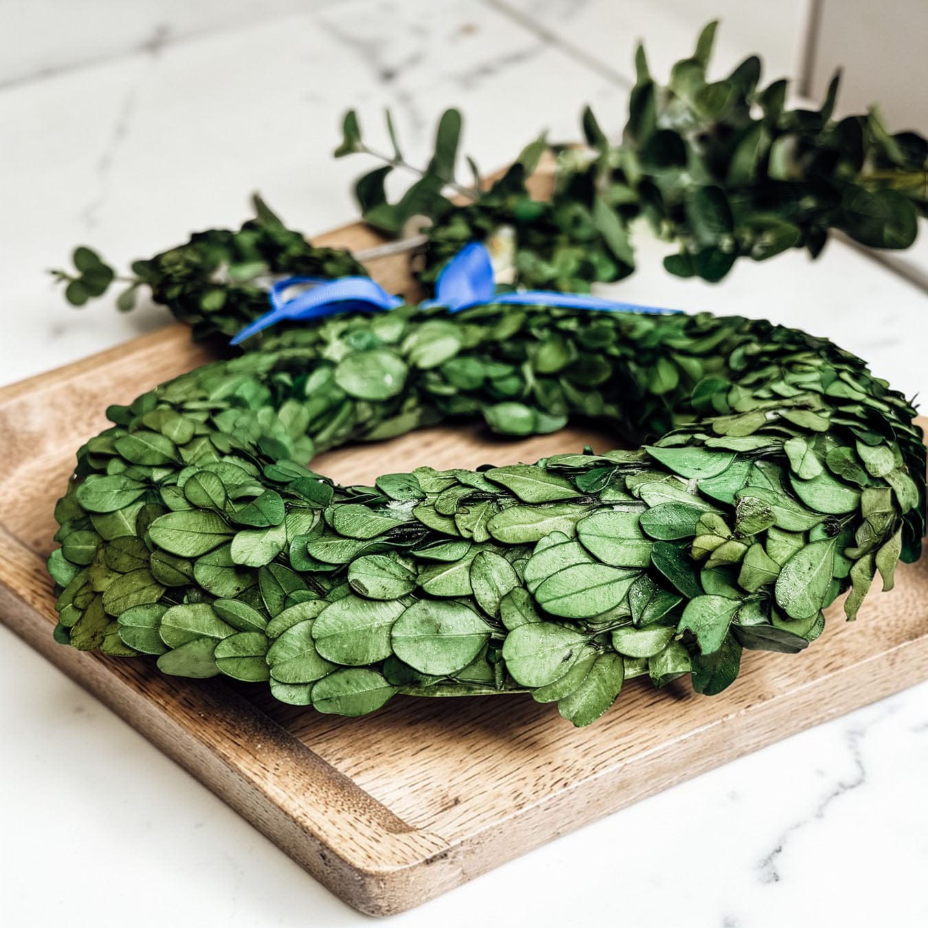 Gia Roma wreath Bunny Wreath Boxwood