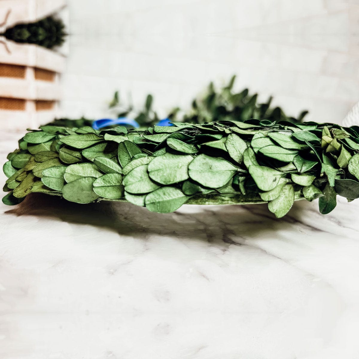 Gia Roma wreath Bunny Wreath Boxwood