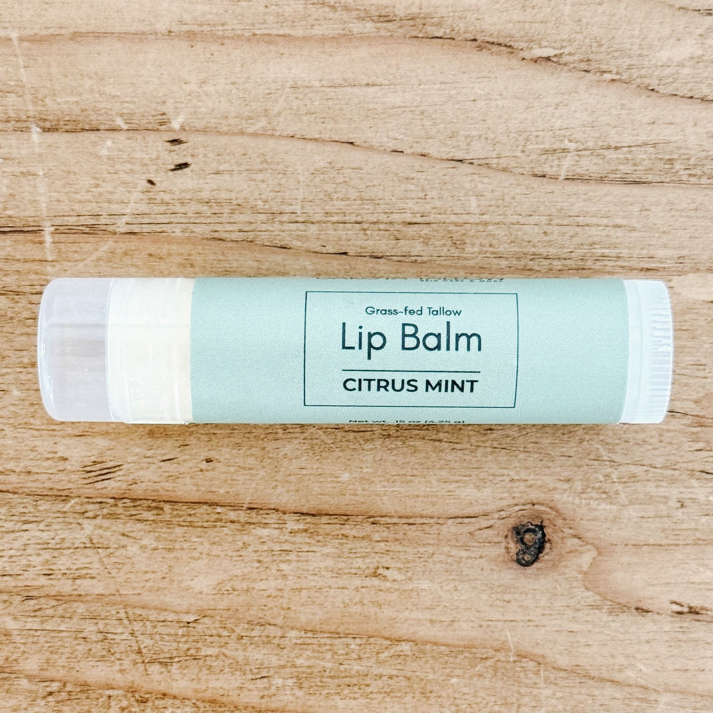 Dakota Tallow Citrus Mint Dakota Tallow Lip Balm - 3 Pack