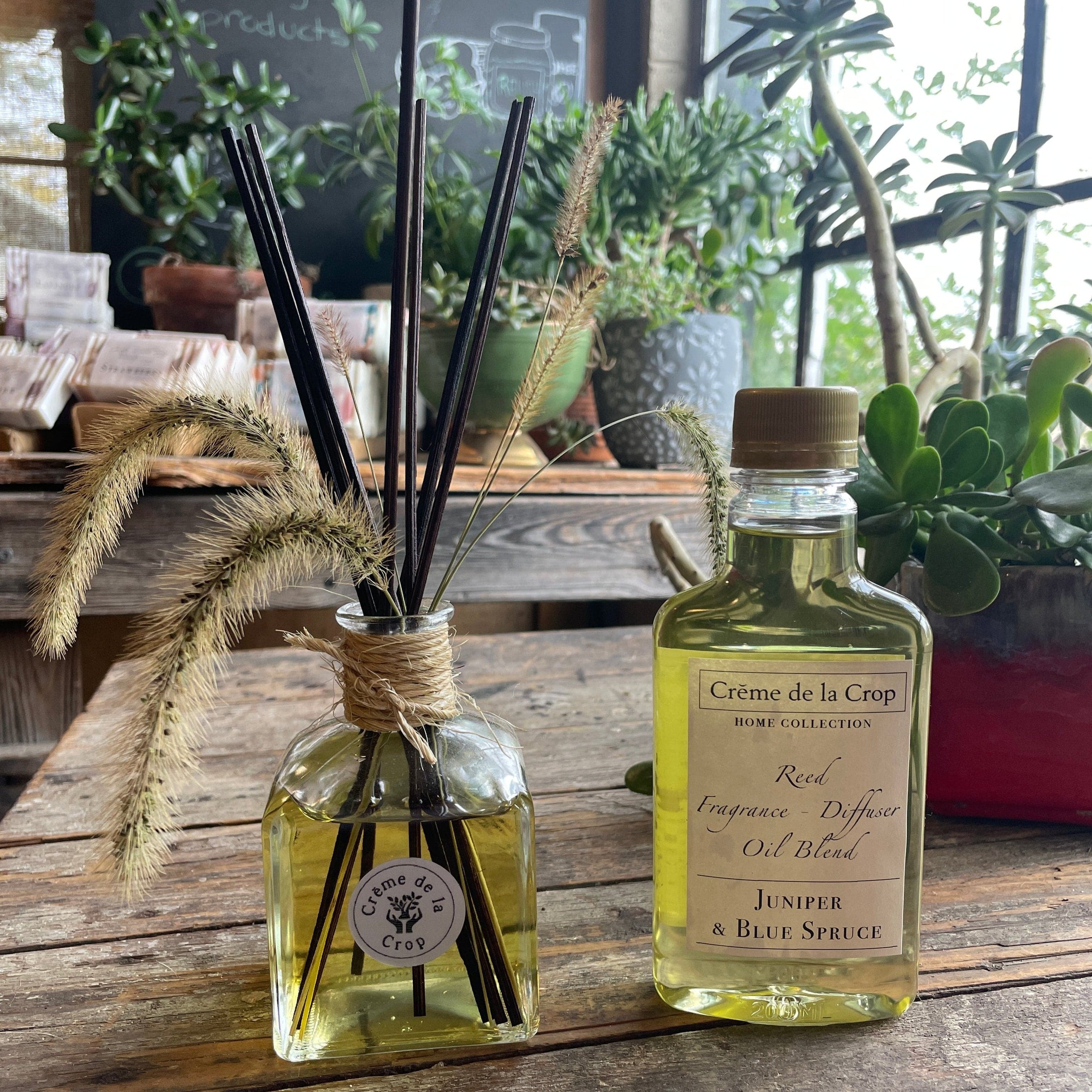 Creme de la Crop Reed Fragrance - Diffuser, Starter Kit - Juniper & Blue Spruce