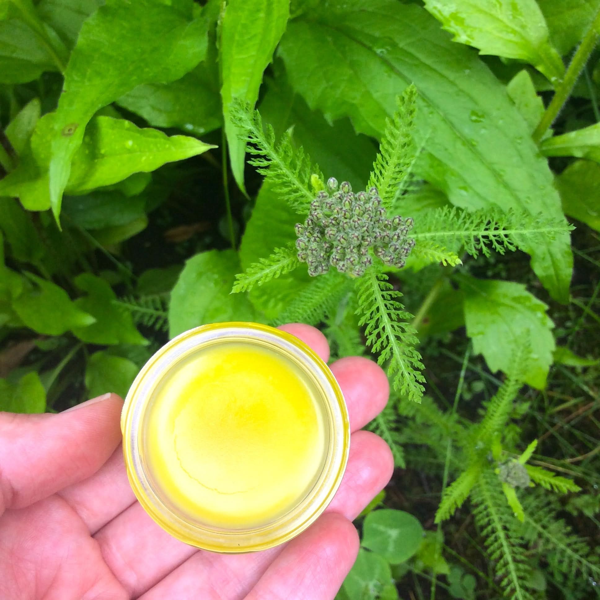 Yarrow Beauty Balm - My American Goods