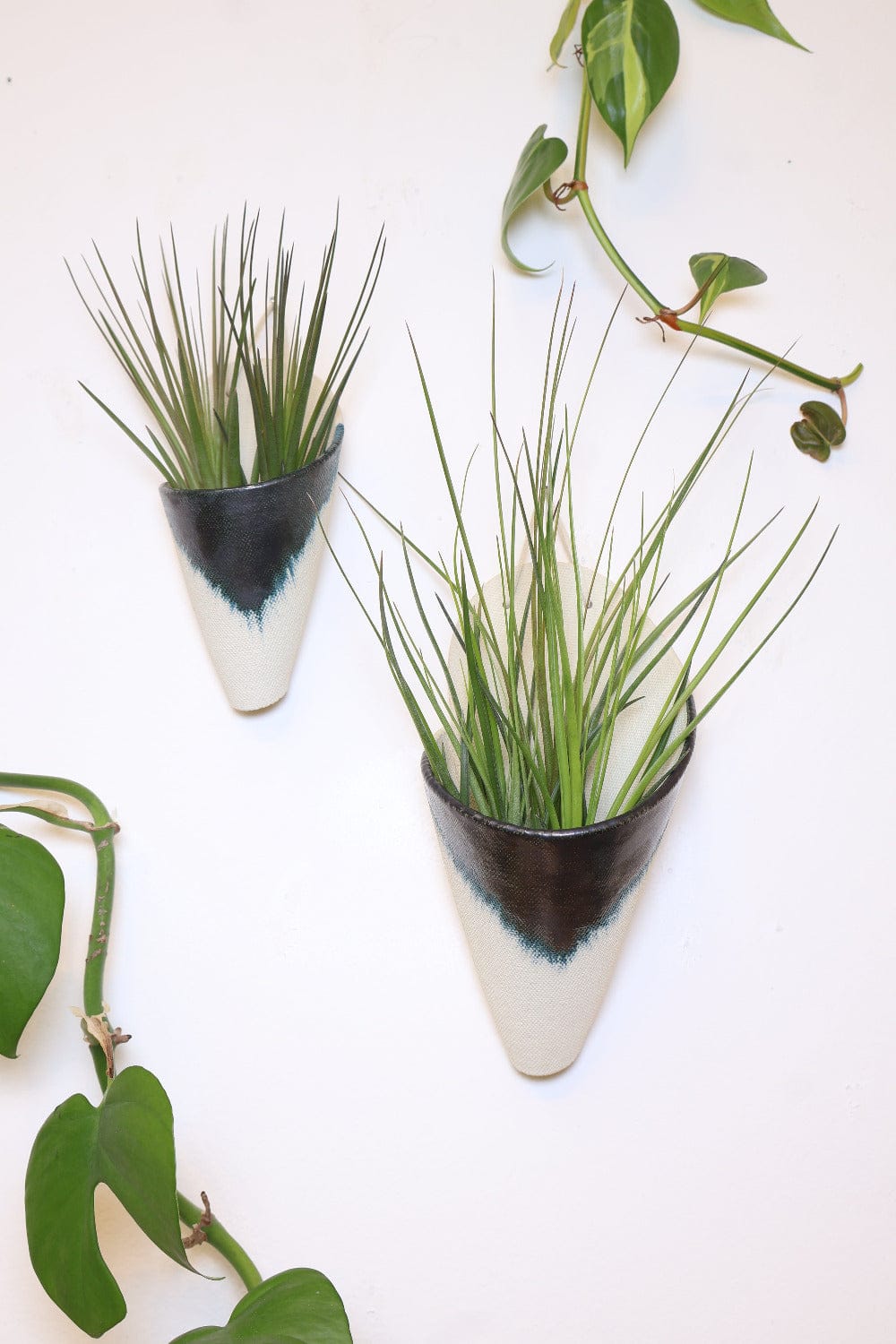 Carter + Rose Medium Ceramic Wall Planter